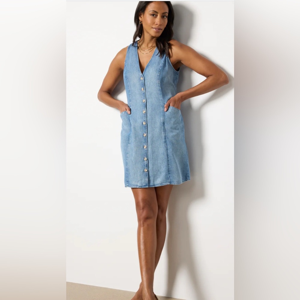 Cloth & Stone Denim cinch back mini dress